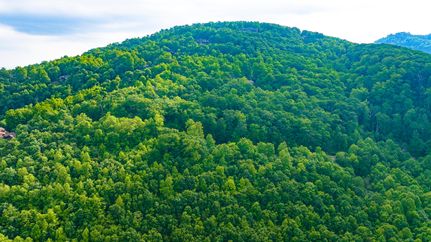 Property for sale in Greenville County, South Carolina