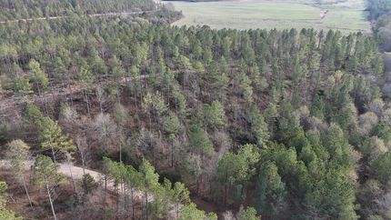 Undeveloped Land for sale in Cherokee County, Alabama