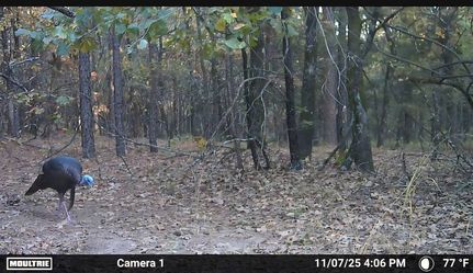 Property for sale in Choctaw County, Oklahoma