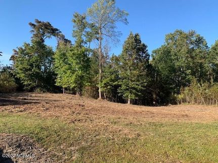Farm Property for sale in Chowan County, North Carolina