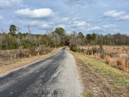 Hunting Land for sale in Claiborne Parish, Louisiana