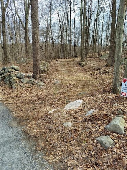 Undeveloped Land for sale in Dutchess County, New York