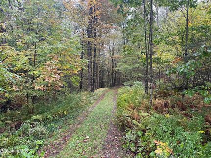 Ranch Property for sale in Berkshire County, Massachusetts