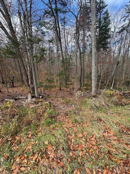 Farm Property for sale in Windsor County, Vermont
