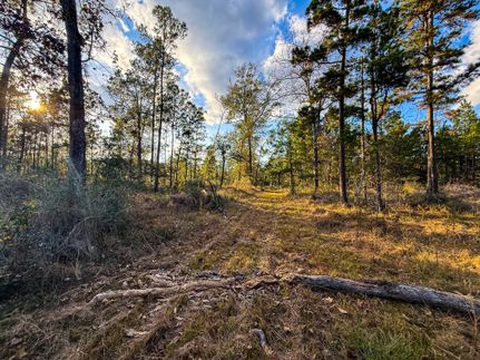 Ranch Property for sale in Angelina County, Texas