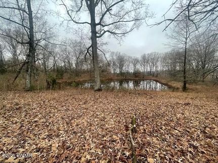 Lakefront Property for sale in Henderson County, Tennessee