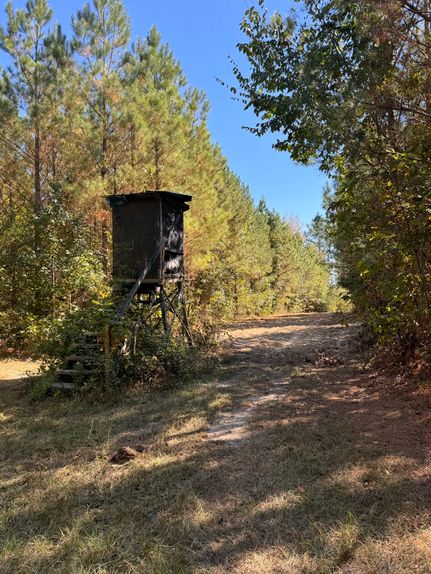 Residential Property for sale in Sumter County, Alabama