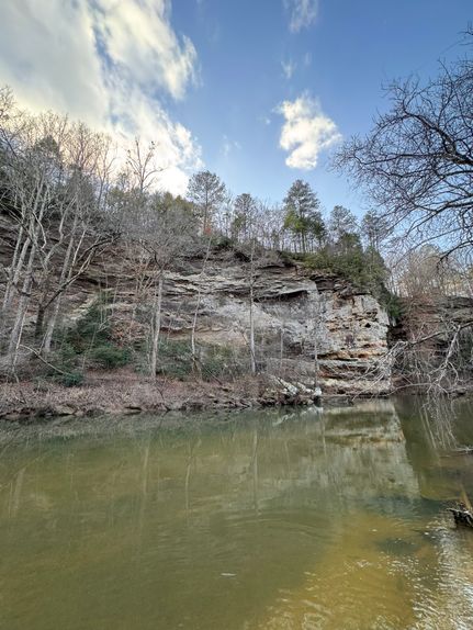 Undeveloped Land for sale in Marion County, Alabama