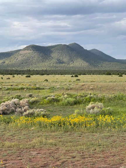 Farm Property for sale in Catron County, New Mexico