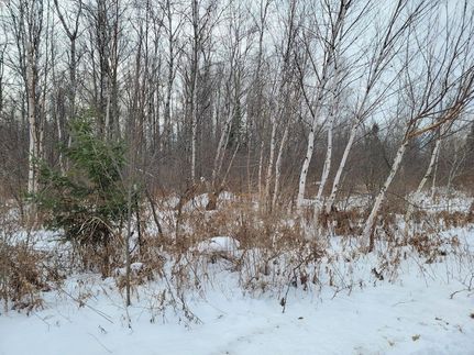 Property for sale in Sawyer County, Wisconsin