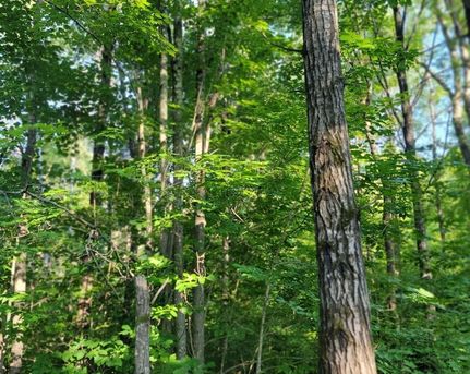 Property for sale in Sawyer County, Wisconsin