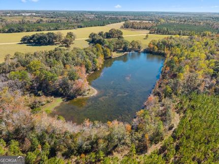 Farm Property for sale in Bulloch County, Georgia
