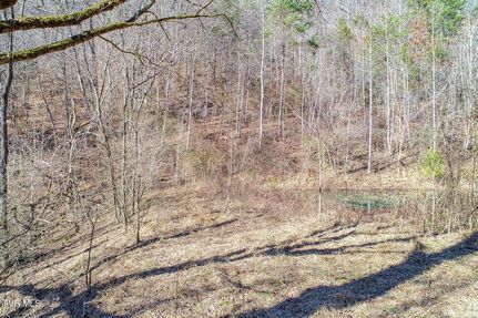 Timberland Property for sale in Hancock County, Tennessee