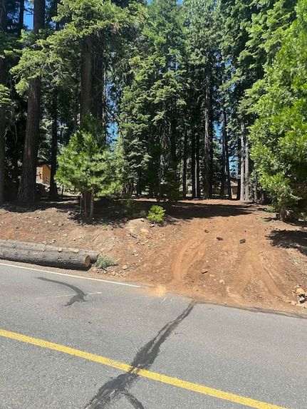 Property for sale in Plumas County, California
