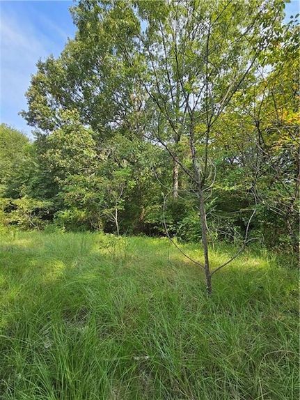 Farm Property for sale in Sabine Parish, Louisiana