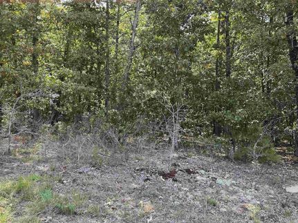 Undeveloped Land for sale in Pulaski County, Arkansas