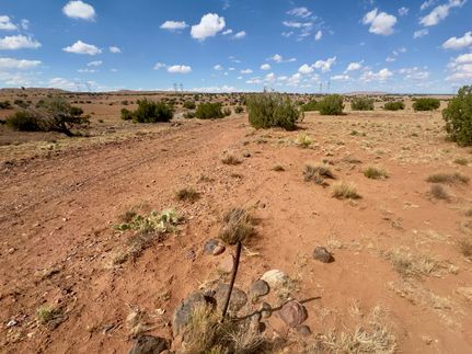 Undeveloped Land for sale in Apache County, Arizona