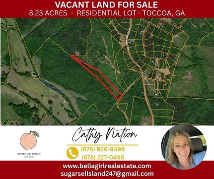 Property for sale in Franklin County, Georgia