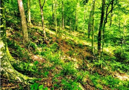 Property for sale in Crawford County, Indiana