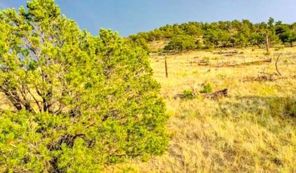 Recreational Property for sale in Fremont County, Colorado