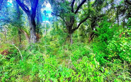 Residential Property for sale in Lafayette County, Florida