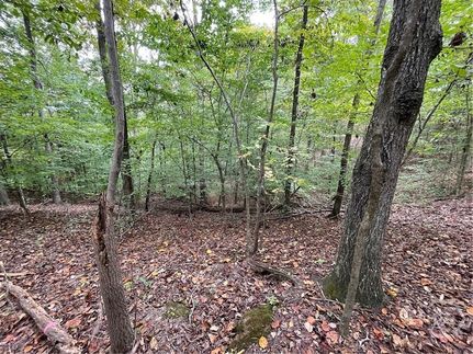 Farm Property for sale in Oconee County, South Carolina