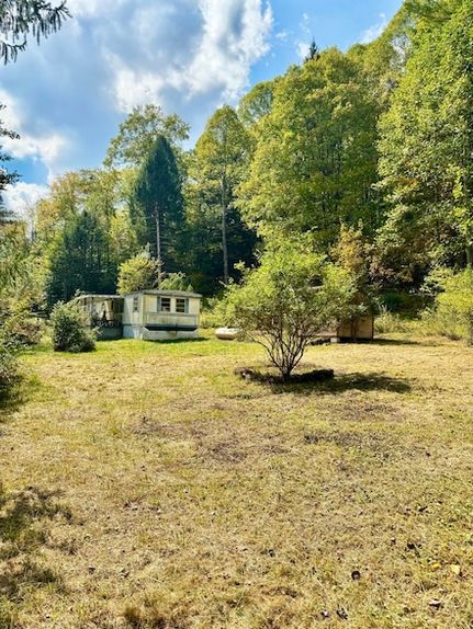 Farm Property for sale in Nicholas County, West Virginia