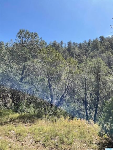 Farm Property for sale in Grant County, New Mexico