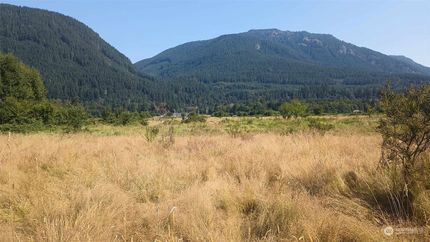 Undeveloped Land for sale in Lewis County, Washington