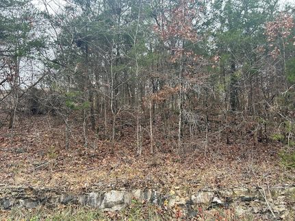 Farm Property for sale in Taney County, Missouri