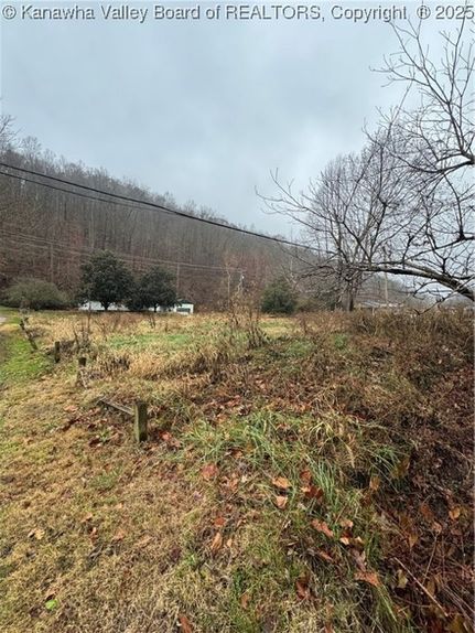 Undeveloped Land for sale in Boone County, West Virginia