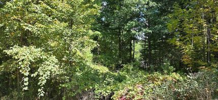 Residential Property for sale in Gladwin County, Michigan