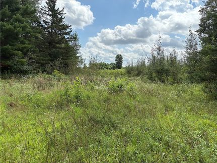 Ranch Property for sale in Barron County, Wisconsin