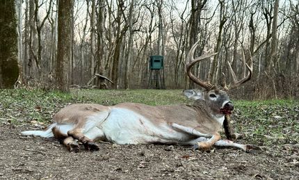 Farm Property for sale in Coahoma County, Mississippi