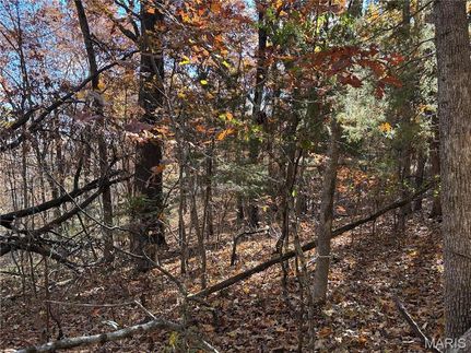 Farm Property for sale in Washington County, Missouri