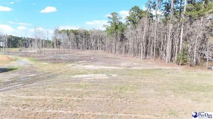 Farm Property for sale in Florence County, South Carolina