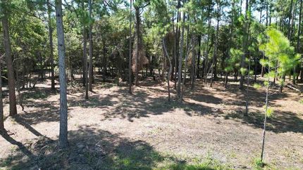 Farm Property for sale in Santa Rosa County, Florida