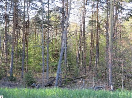 Undeveloped Land for sale in Grand Traverse County, Michigan