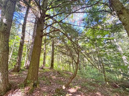 Farm Property for sale in Chippewa County, Michigan