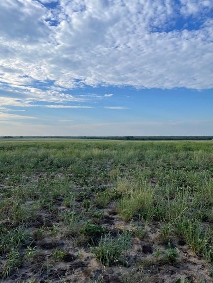 Farm Property for sale in Duval County, Texas