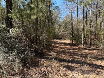 Residential Property for sale in Walthall County, Mississippi