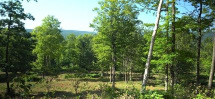 Ranch Property for sale in Bayfield County, Wisconsin