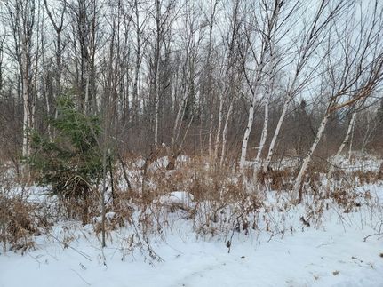 Ranch Property for sale in Sawyer County, Wisconsin