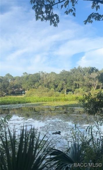 Recreational Property for sale in Citrus County, Florida