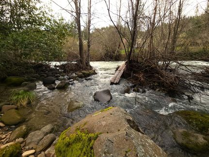 Farm Property for sale in Shasta County, California