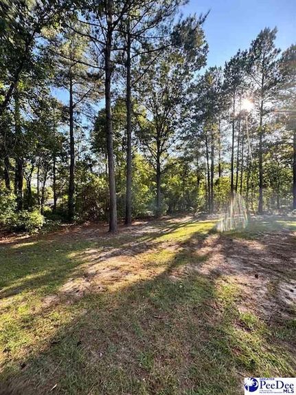 Farm Property for sale in Chesterfield County, South Carolina