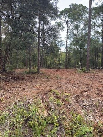 Timberland Property for sale in Citrus County, Florida