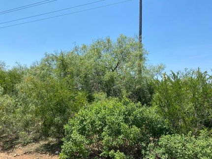 Hunting Land for sale in Duval County, Texas