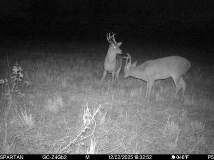 Property for sale in Butler County, Alabama