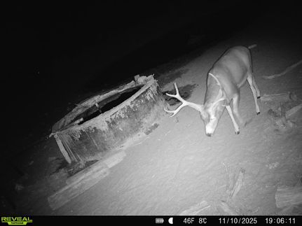 Property for sale in Torrance County, New Mexico